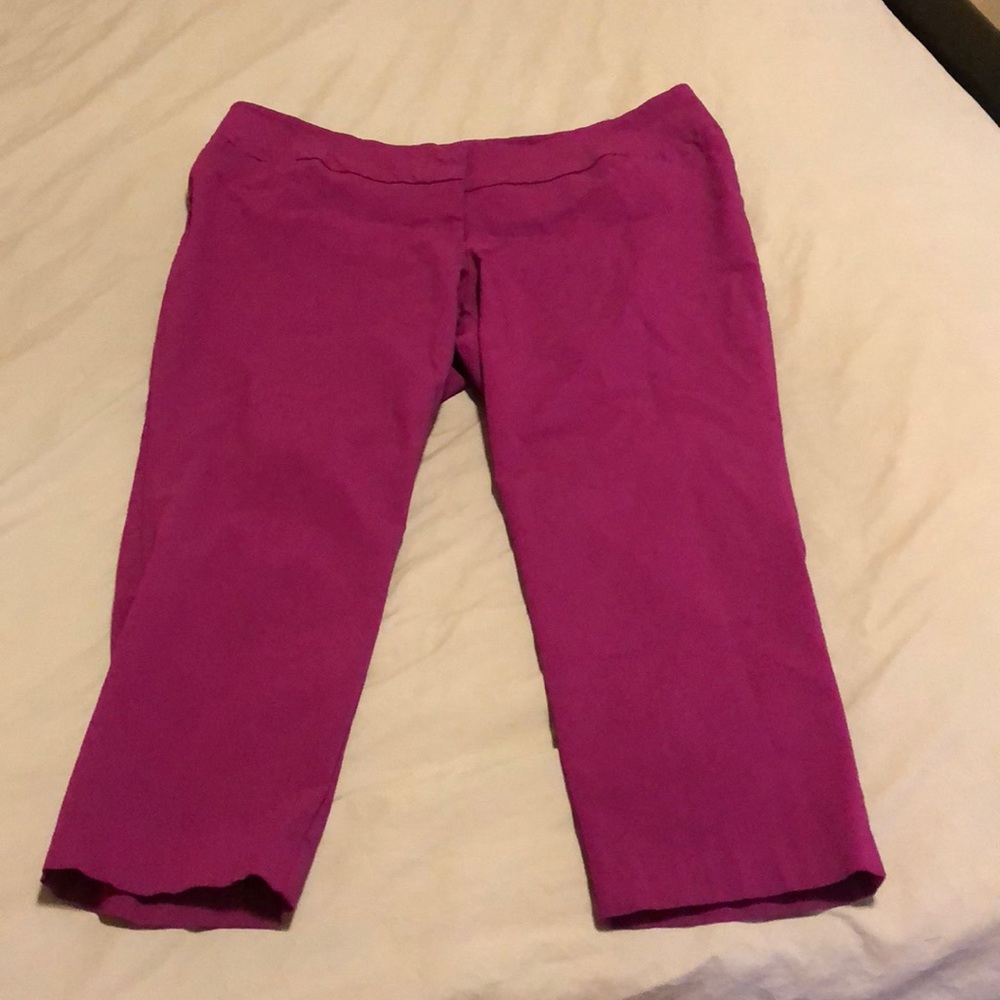 Torrid capris